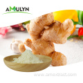 Zingiber officinale Extract Ginger Root Extract Powder